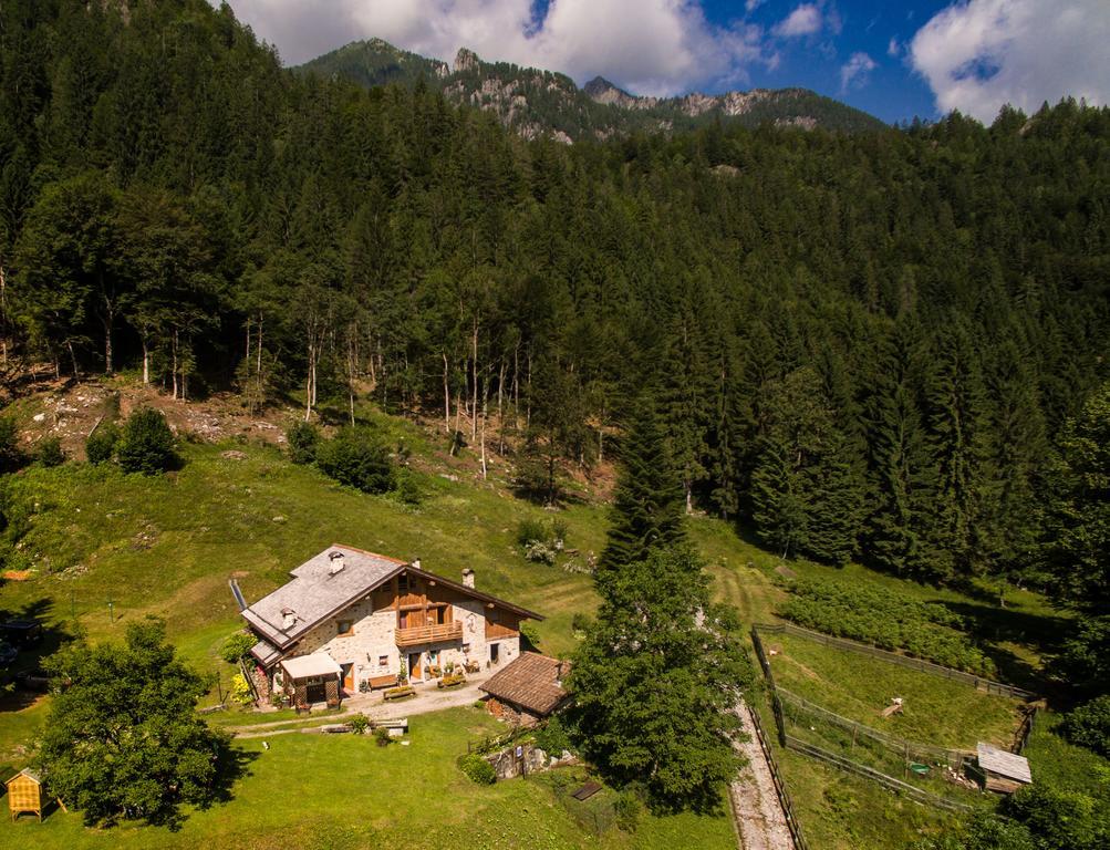 Villa Agritur Manoncin Daone Exterior foto